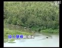 琼剧小唱-载酒劝学摆盛宴