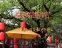 梨园戏名家唱腔欣赏《周德武-师兄听说》 李