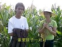 山歌剧谁说后妈不是娘：第三集  