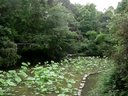 高甲戏名家唱腔欣赏《管甫送》选段 柯贤溪（