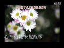 闽南语歌曲《五枞花》早期福建泉州高甲戏名