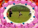 民间花灯戏唱腔