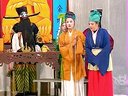 推剧狸猫换太子5
