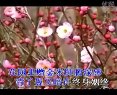 二夹弦五家坡原唱.flv
