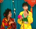 二人转小帽《王二姐思夫》赵晓波下载