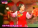 张涛《四大全》李静《大观园》等