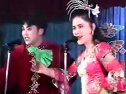 二人转 正戏 西厢写书 (全本) 红娘下书 张