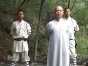 少林养生八段锦  (全集)河南少林武术学院 