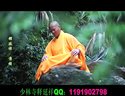 坐式八段锦 少林寺 易筋经 洗髓经 释延祥 