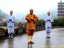 立式八段锦 释延祥 少林寺易筋经.洗髓经. 