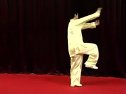 陈氏太极拳83式教程完整版 - 3