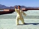108式传统杨式太极拳-基本动作