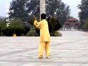 陈氏太极长拳108式