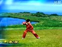 陈式太极拳83式老架一路示范表演