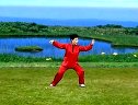 陈式太极拳83式老架一路 - 1
