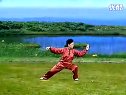陈式太极拳83式老架一路 - 4