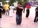 陈式太极拳功夫架 - 4