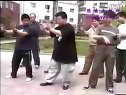 陈式太极拳功夫架 - 1