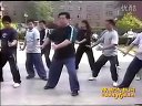 陈式太极拳功夫架 - 3