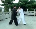 陈式太极拳32擒拿下载