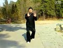 太极拳推手5下载