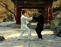 太极拳推手4下载