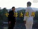 太极拳推手7下载