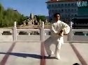 56式陈氏太极拳下载