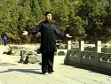 太极拳推手3