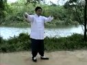 杨氏太极拳85式 第四 五 六式下载