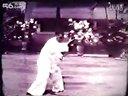 鬼魅神手  董虎岭先生传统杨氏太极拳85式（清晰版）下载