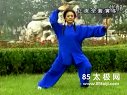 传统杨氏太极拳85式高清视频-王天玉演练下载