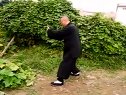 永年李占英  传统杨氏太极拳教学详解（1）下载