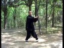 极品 杨氏太极拳教程85式（1） 永年太极大师李占英下载