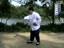 杨氏太极拳85式 第三式 揽雀尾下载
