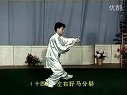 杨氏太极拳40式带口令字幕 陈思坦背向示范（高清）下载