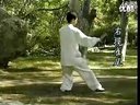 太极拳24式视频教程 陈式太极拳基本功入门视频 48式太极拳下载