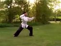 杨氏太极拳85式（全集）下载