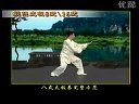 陈思坦8式、16式太极拳