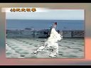 陈思坦48式太极拳