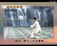 陈思坦42式太极拳