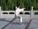 陈式56式太极拳—全套动作分解