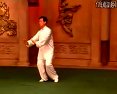 陈氏太极拳老架一路完整演练