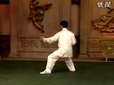 陈式太极拳老架一路74式（陈正雷口令）