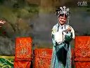 河南曲剧《血泪鸳鸯》选段