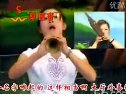 河南曲剧《屠夫状元》选段  唢呐演奏