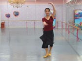 糖豆广场舞欢乐的跳吧