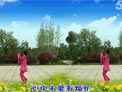 春英广场舞新走西口