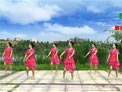 春英广场舞真的不容易