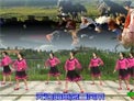 春英广场舞花开等你来